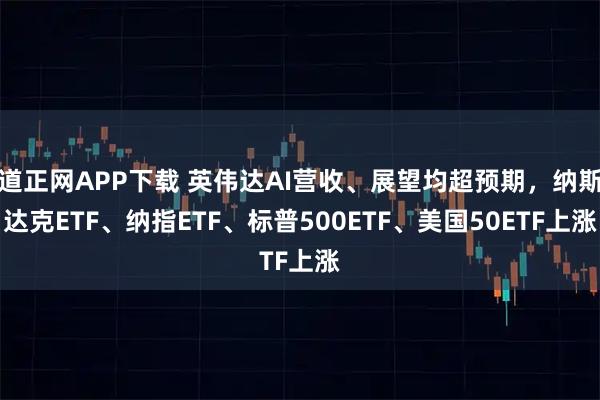 道正网APP下载 英伟达AI营收、展望均超预期，纳斯达克ETF、纳指ETF、标普500ETF、美国50ETF上涨