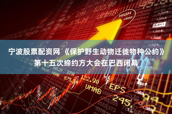 宁波股票配资网 《保护野生动物迁徙物种公约》第十五次缔约方大会在巴西闭幕