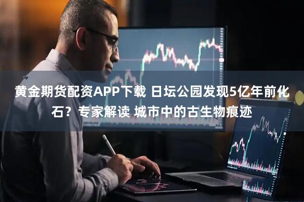 黄金期货配资APP下载 日坛公园发现5亿年前化石？专家解读 城市中的古生物痕迹